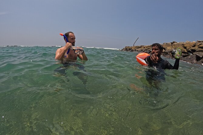 Snorkeling with Turtles in Mirissa - Sea Life You’re Likely to See at Parrot Rock