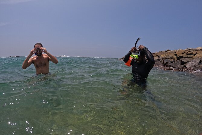 Snorkeling with Turtles in Mirissa - Weather, Rough Seas, and How the Tour Adjusts
