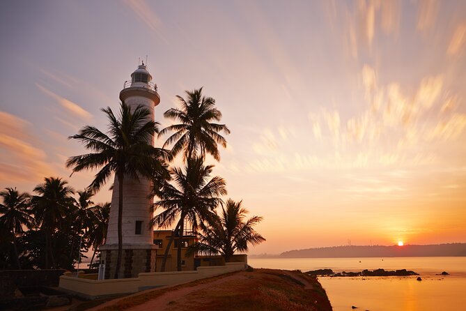 Southern Coast Highlights from Colombo - Lunch, Water, and the Real Cost of This Day
