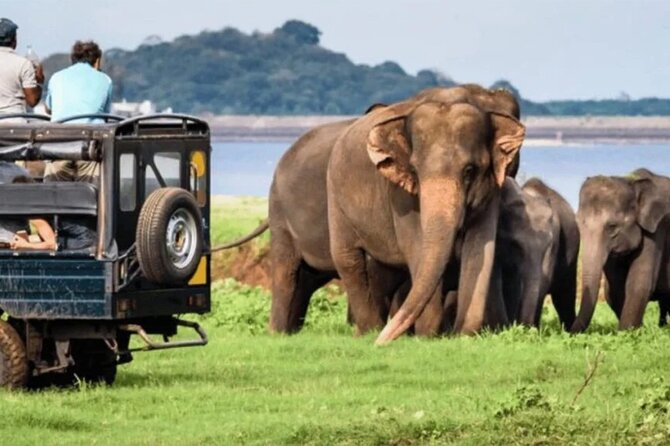 Special Full Day Safari Yala National Park - 04:30 AM to 06:00 PM - Comfort on a 13 to 16 hour day in Yala