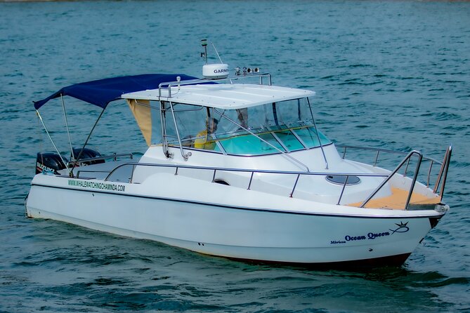 Sports Boat- Private Whale Watching Trip( free breakfast & paid pick-up) - Key things that make this whale trip worth planning
