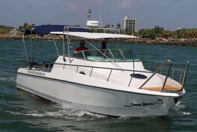Sports Boat- Private Whale Watching Trip( free breakfast & paid pick-up) - The 7:00 am start in Mirissa, and why it matters