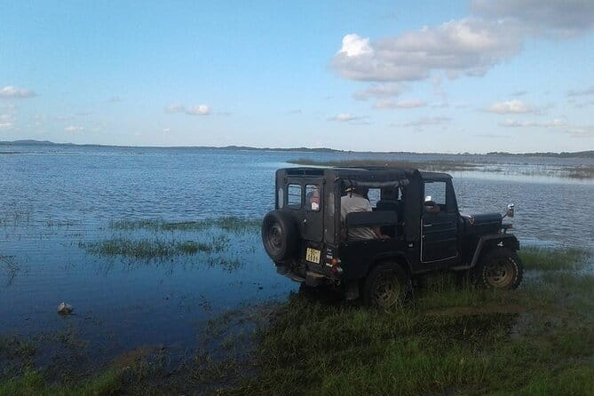 Sri Lanka 11 Days with Driver and Vehicle (Customizable) - Why this 11-day, driver-and-vehicle plan feels easier than DIY