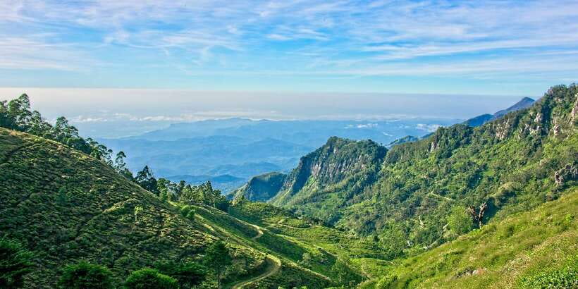 Sri Lanka: 2-Day wildlife tour; rainforest and National park - Price and Value: What You Get for $350 Per Person