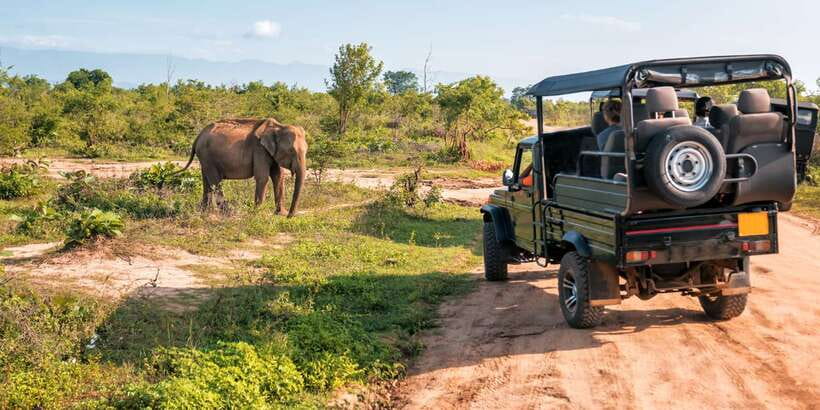 Sri Lanka: 2-Day wildlife tour; rainforest and National park - The Day-One to Ella Connection: Waterfalls, Herbal Stops, and a Place to Reset