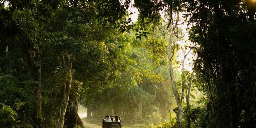Sri Lanka: 2-Day wildlife tour; rainforest and National park - The Hill Country Blue Train: Slow Views That Feel Like Sri Lanka