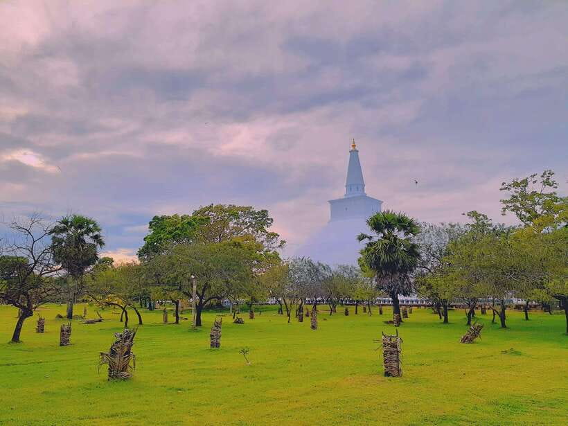 Sri Lanka: 4-Day Private Tour Focusing on Cultural Triangle - Hotels, pace, and what private guiding feels like