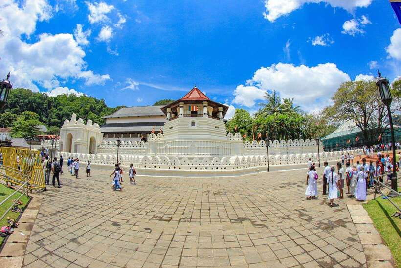 Sri Lanka: 4N5Day guided FULL TOUR with hotel accommodations - Day 2: Minneriya Safari Plus a More Local Sigiriya Day