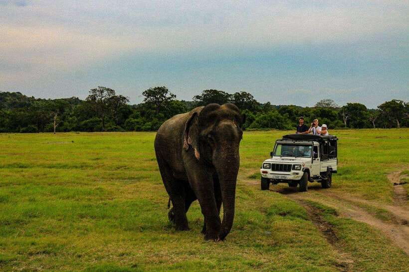 Sri Lanka: 4N5Day guided FULL TOUR with hotel accommodations - Day 1: Colombo to Sigiriya, Caves and Lion Rock