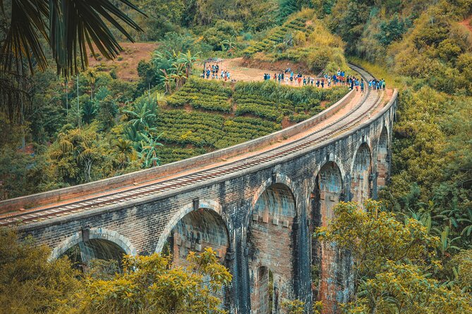 Sri Lanka 5 Day tour Best Nature and Culture include top hotels - Pidurangala Sunrise, Minneriya 4x4 Safari, and the Spice-Garden Stop