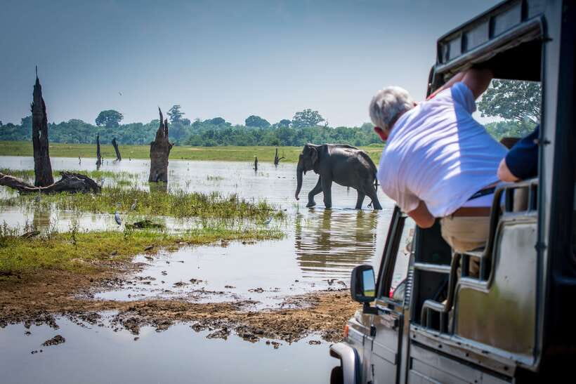 Sri Lanka: 5 Days Multi City Sightseeing Tour - Day 2: Golden Temple of Dambulla and the Sigiriya Lion Rock climb