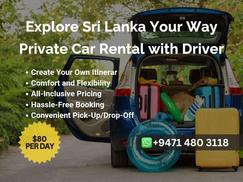 Sri Lanka Car Rental with Driver - 3 Days Minimum, 180km/Day - How the Car, Driver, and Safety Style Affect Your Day