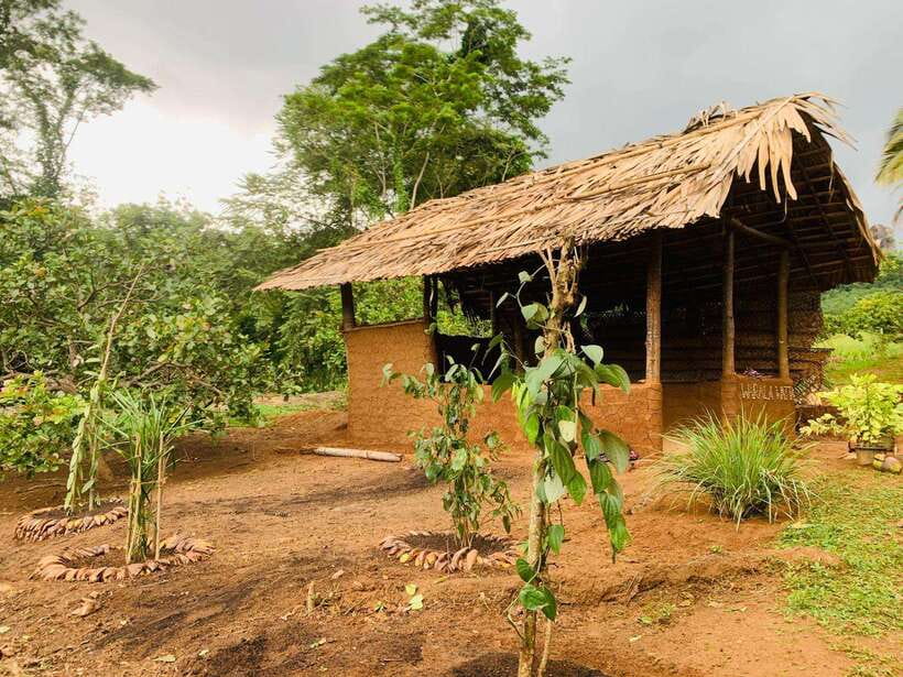 Sri Lanka: Ceylon Cinnamon Experience & Spice Garden Tour - Your 3-hour plan: garden walk, cinnamon making, tastings, factory stop