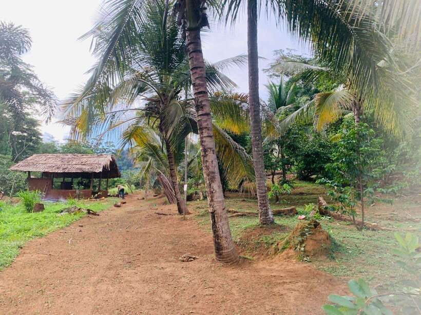 Sri Lanka: Ceylon Cinnamon Experience & Spice Garden Tour - Logistics that matter: transport, timing, and what to bring