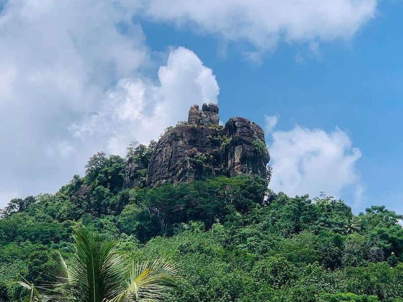 Sri Lanka: Ceylon Cinnamon Experience & Spice Garden Tour - Price and value: what $20 gets you in real learning