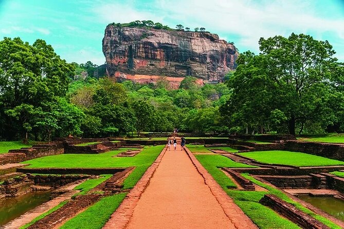 Sri Lanka Customize Multiple day tour packege - Day 6: Yala morning safari at 5 am and a full beach day in Mirissa