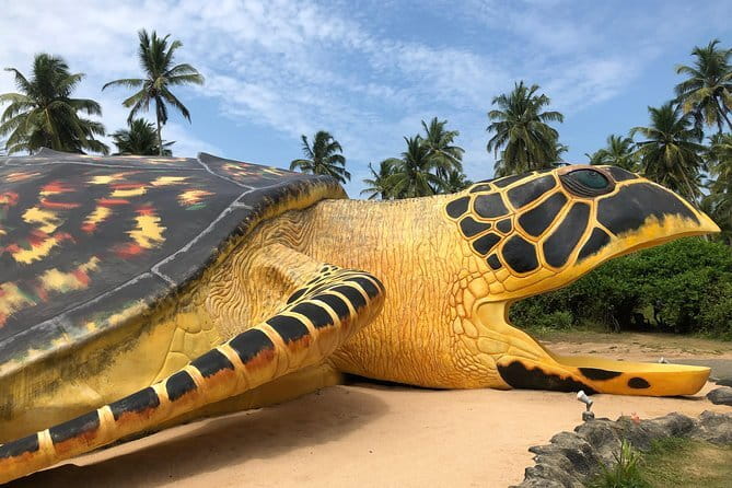 Sri Lanka Ella Private Day Tour Nine Arch & Elephant transit home - Udawalawa Elephant Transit Home: rehabilitation you can understand