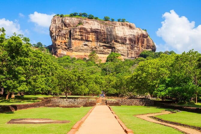 Sri Lanka Ella Private Day Tour Nine Arch & Elephant transit home - Tea hills plus animal care plus a long car day: the real logistics