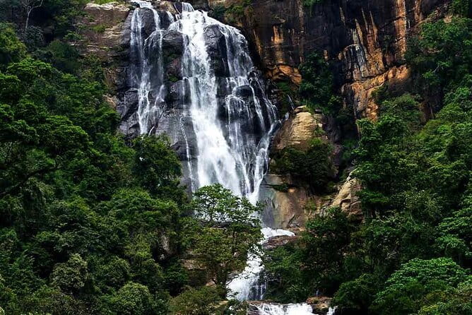 Sri Lanka Ella Private Day Tour Nine Arch & Elephant transit home - Price and value: what $190 per person buys you, and what it doesn’t