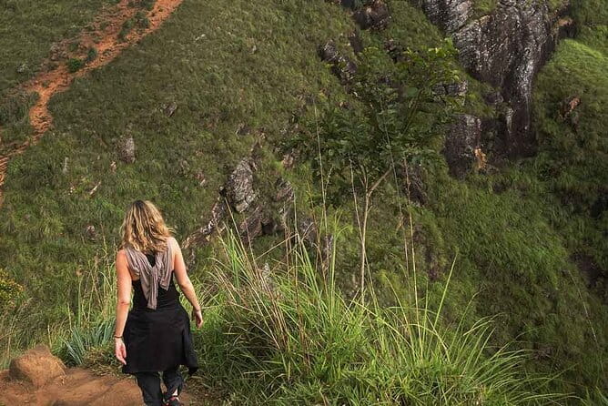 Sri Lanka Ella Private Day Tour Nine Arch & Elephant transit home - Nine Arches Bridge, tea hills, and a walk you can actually enjoy