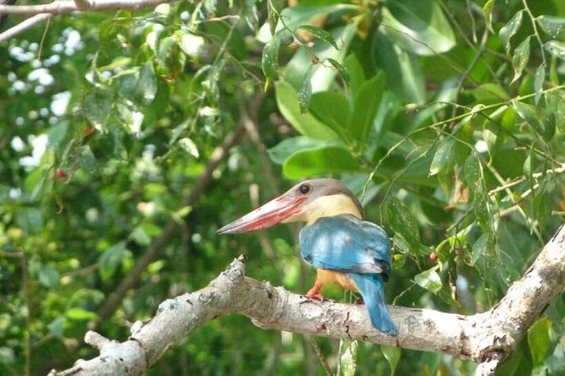 Sri Lanka Green Bless- 2-day Private Trip To Enjoy Nature - Key highlights worth planning for
