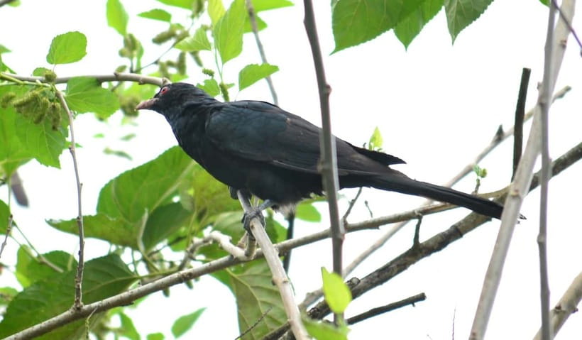 Sri Lanka Green Bless- 2-day Private Trip To Enjoy Nature - Three ecosystems in two days: what this route is really about