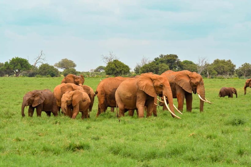 Sri Lanka Nature, culture, history and wildlife in 4 days - Why this Sri Lanka route feels like the right kind of fast