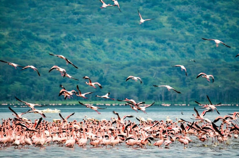 Sri Lanka Nature, culture, history and wildlife in 4 days - Who should book this one, and who should skip it