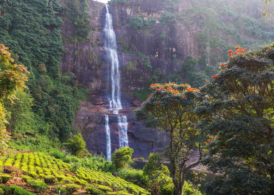 Sri Lanka Private 2-day Tour:Train Trip, Kandy, Nuwara Eliya - The Big Appeal: Blue Train Views and Two Real Hill-Country Stops