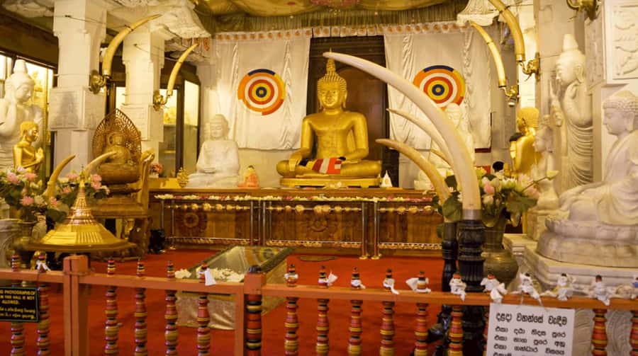 Sri Lanka Private 2-day Tour:Train Trip, Kandy, Nuwara Eliya - Day 1: From Colombo Route to Kandy’s Temple Core