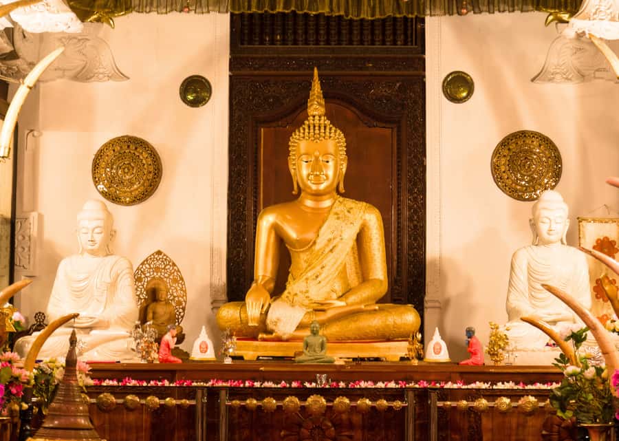Sri Lanka Private 2-day Tour:Train Trip, Kandy, Nuwara Eliya - Day 2: Scenic Ride Down the Valleys to Nuwara Eliya