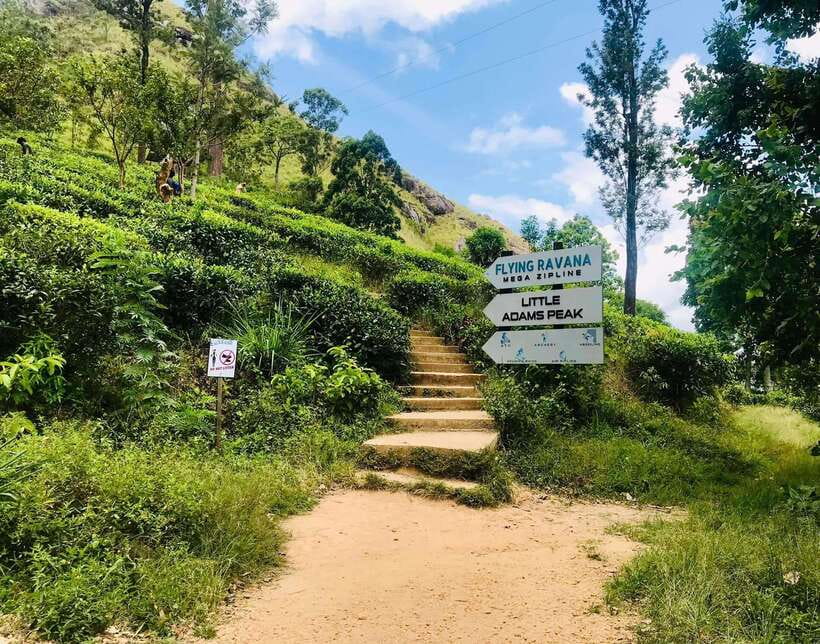 Sri Lanka Private 3-nights Tour Transport, Guide, Hotels - Day 2, Kandy to Sigiriya and Dambulla: spice learning, the rock fortress, and cave paintings