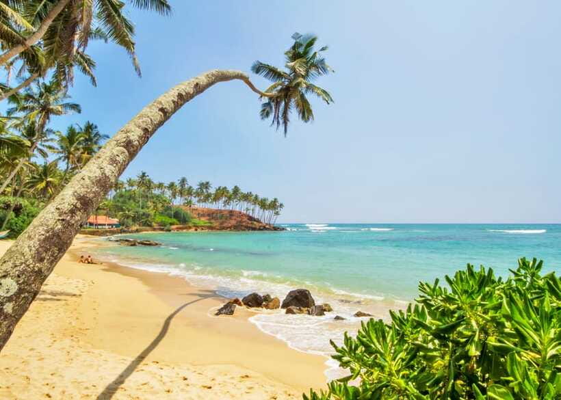 Sri Lanka Private 3-nights Tour Transport, Guide, Hotels - The people factor: drivers and guides shape whether the days feel smooth