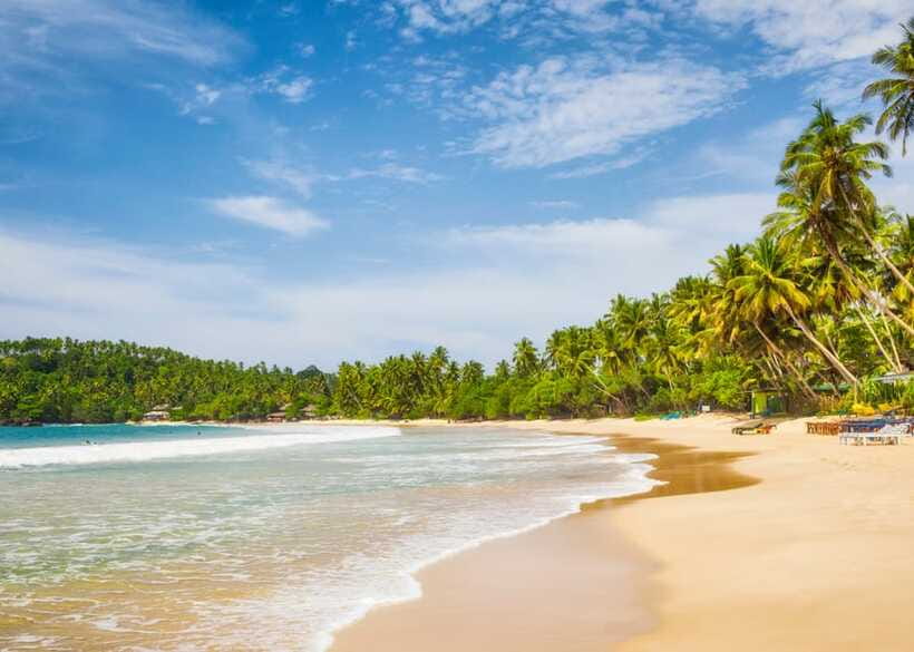 Sri Lanka Private 8-day Tour; Transport, Guide, Hotels, Food - Day 8: Back to Colombo for your flight or your next stop