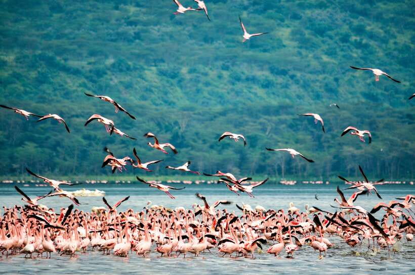 Sri Lanka Private 8-day Tour; Transport, Guide, Hotels, Food - A well-paced private loop from Sigiriya to the coast