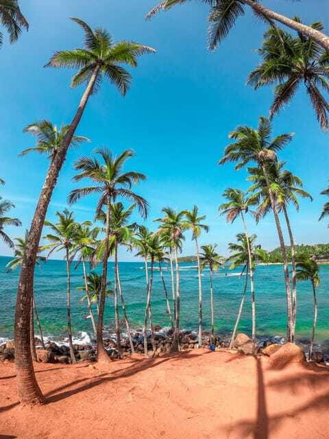 Sri Lanka Private 8-day Tour; Transport, Guide, Hotels, Food - Day 7: Yala safari early, then Galle Fort and the southwest beaches