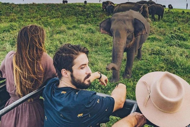 Sri Lanka private tour package 9 night 10 Day with driver+vehicle+accommodations - Day 6: Royal Botanical Gardens to Nuwara Eliya, tea country scenery and lake walks