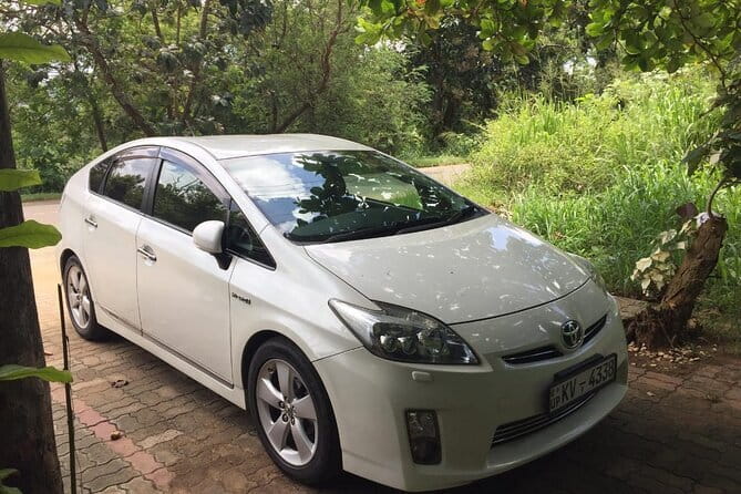 Sri Lanka Round Tour with English Speaking Driver Guide and Car - The 8:00 am start and the flow of your 8 to 9 hours