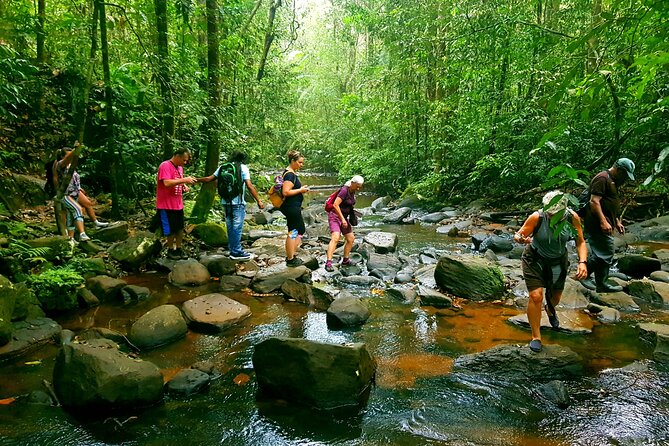 Sri Lanka Sinharaja Rain Forest Tour with Transport - Key highlights worth planning around