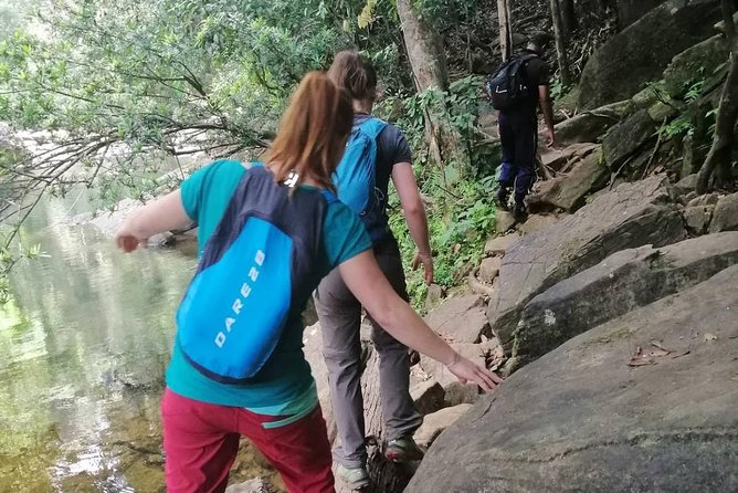 Sri Lanka Sinharaja Rain Forest Tour with Transport - Who should book this Sinharaja private tour, and who should pass