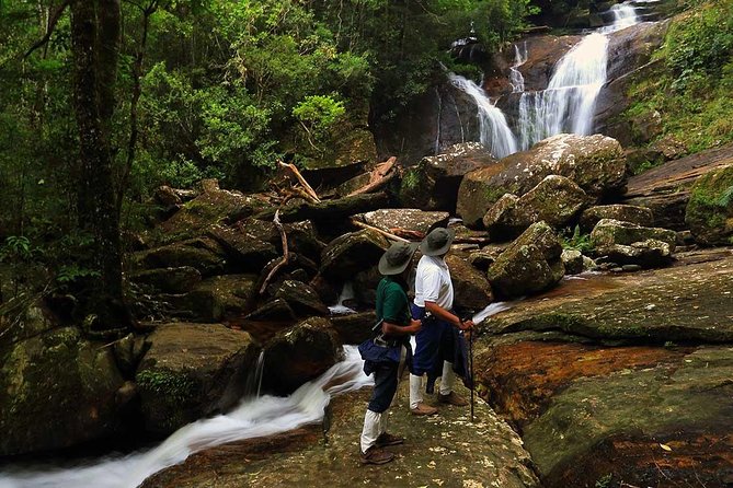 Sri Lanka Sinharaja Rain Forest Tour with Transport - What to expect from the half-day rainforest walk