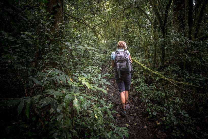 Sri Lanka: Sinharaja rainforest tour from Colombo, Bentota - Pickup, transport comfort, and how the day stays realistic