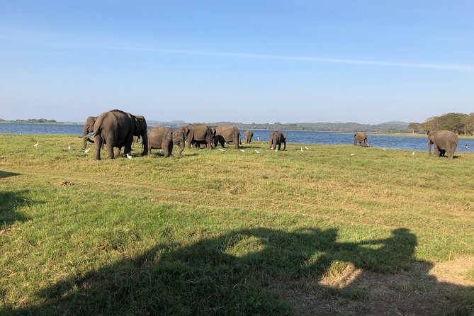 Sri Lanka Tour in 8 Days - Ella by train and viewpoints: the slow travel day you will remember