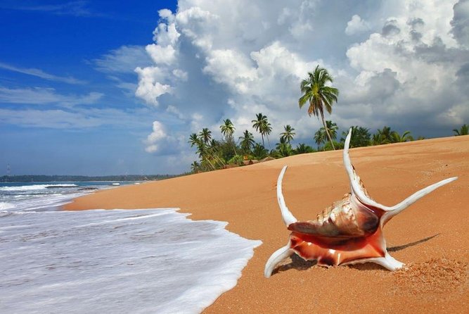 Sri Lanka tour itinerary . 6N/7D with driver, vehicle and H/B accommodations - Nuwara Eliya and waterfalls on the way: the hill-country switch-up