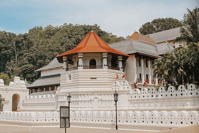 Sri Lanka Tour Plan - 14 Days - Private Transport And Hotel - Day 3: craft village life, Pidurangala viewpoint, and the Minneriya elephant safari