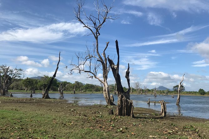 Sri Lanka tours 12-Day wildlife Tour with driver,Car or Van and accommodations - Day 7 to 8: Tissamaharama and Yala, with full-day or half-day safari flexibility