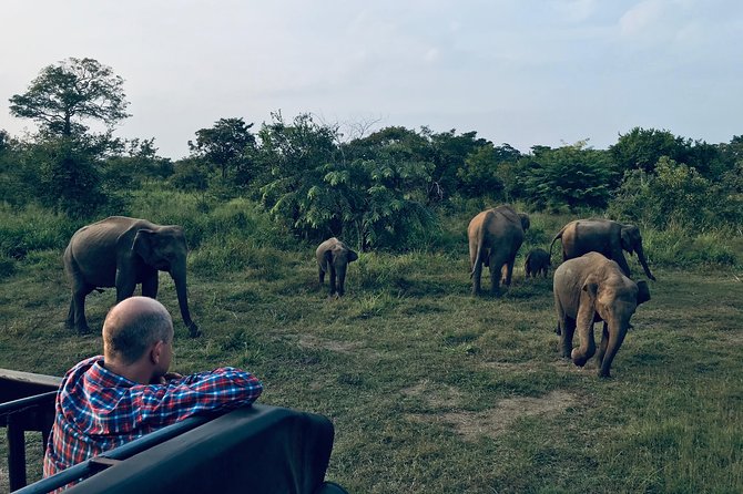 Sri Lanka Wild Life Uniqe Safari 26 - Key things that make this safari worth your time
