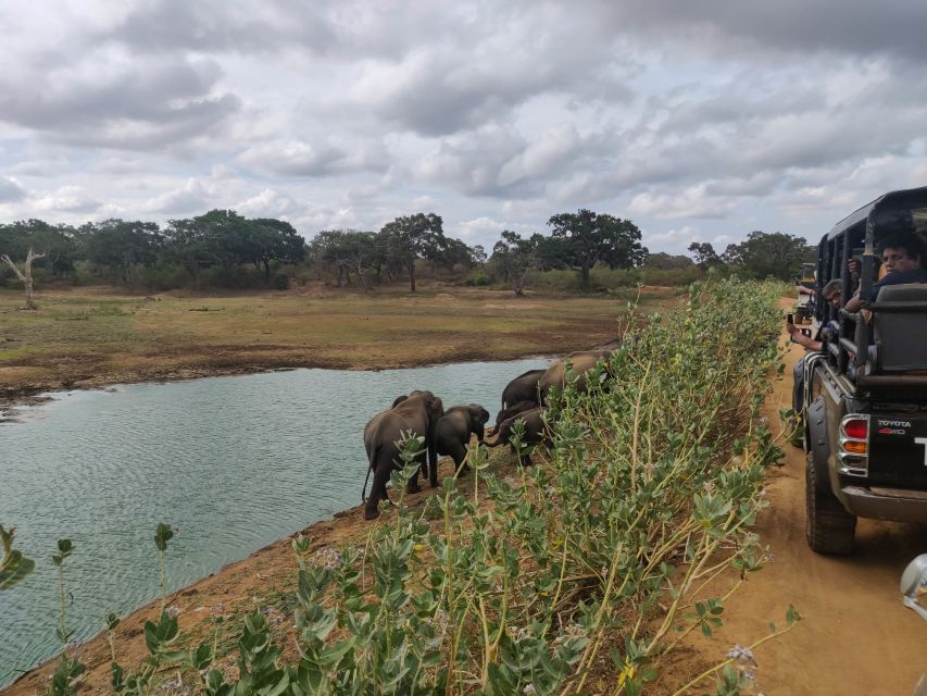 Sri Lanka: Yala National Park Private Safari - What you will do during the safari drive