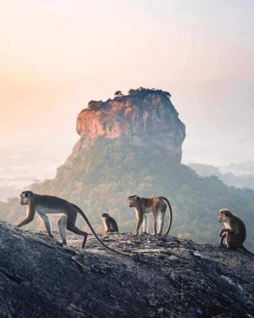Sunrise or Sunset Hike Pidurangala Rock with Scenic Views - Climbing with Shan: how the guide improves your hike