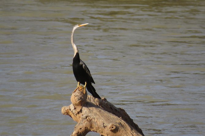 Super Luxury Jeep Safari at Yala National Park - Binoculars and field guides: a practical “upgrade” for real watching